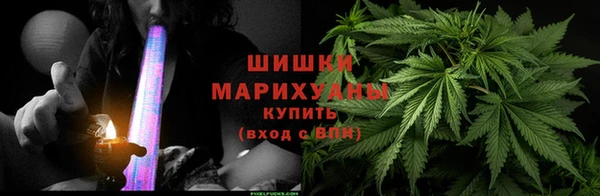 мдпв Бородино
