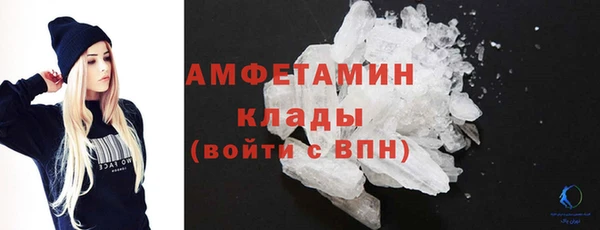 мдпв Бородино