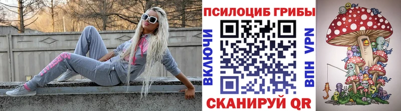Купить  Дмитровск  Псилоцибиновые грибы GOLDEN TEACHER 