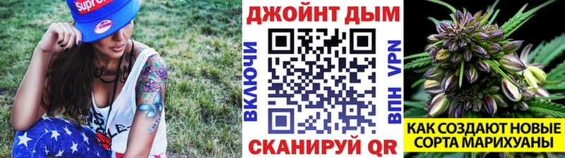 Купить где  Дмитровск  МАРИХУАНА план 